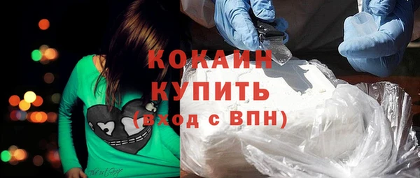 индика Баксан