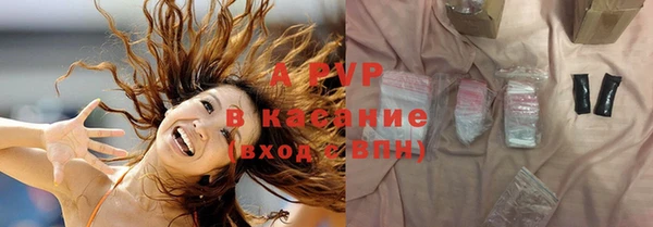 индика Баксан