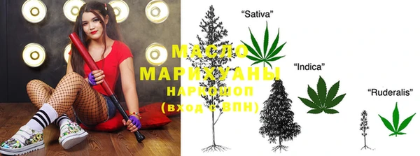 индика Баксан