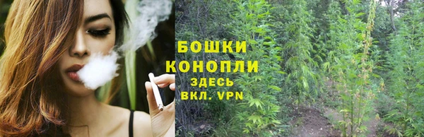 индика Баксан