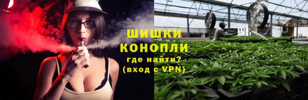 индика Баксан